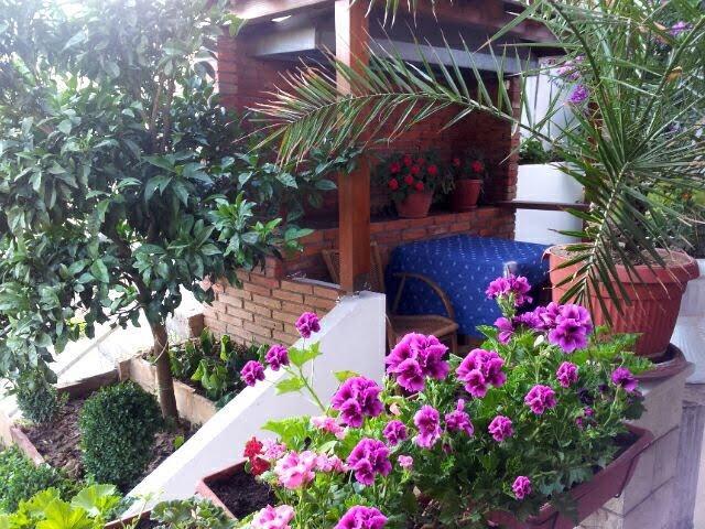 אולסינץ' Firenze Apartments מראה חיצוני תמונה