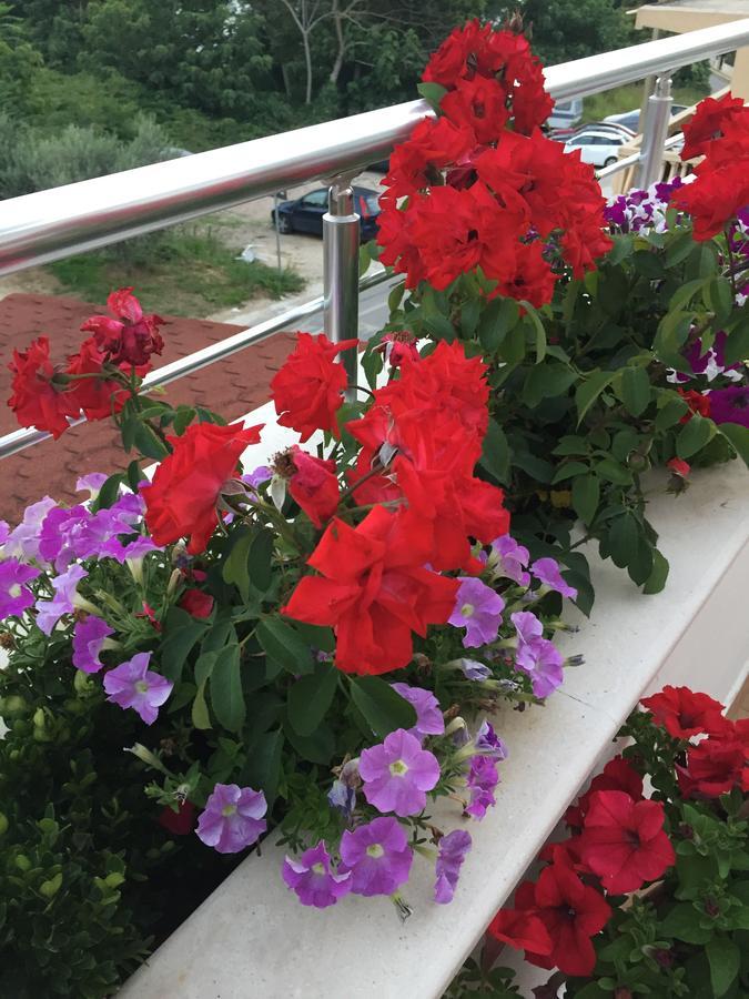 אולסינץ' Firenze Apartments מראה חיצוני תמונה
